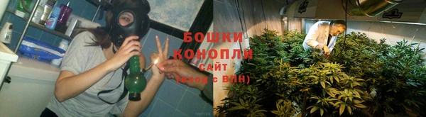 каннабис Аркадак