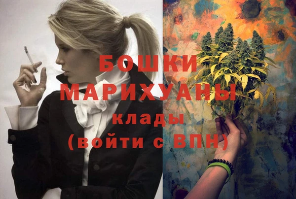 эйфоретик Арсеньев