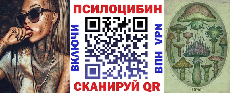Псилоцибиновые грибы GOLDEN TEACHER  Курчатов 